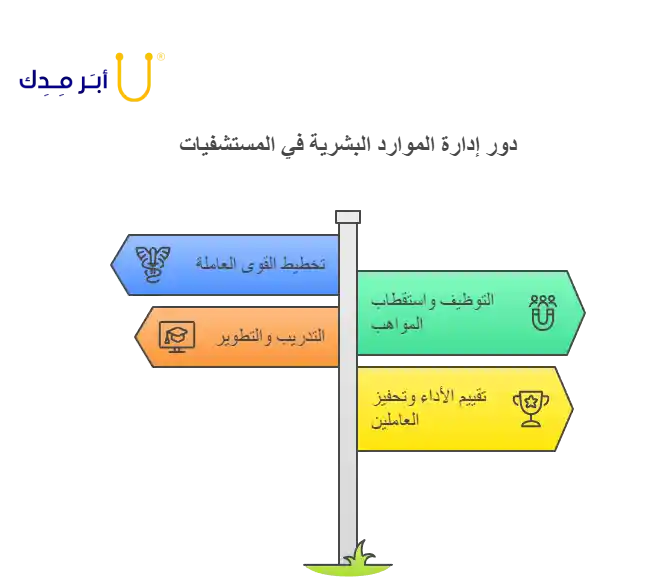انفوجراف دور ادارة الموارد البشرية في المستشفيات 
